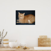 Orange Tabby Cat Poster (Küche)