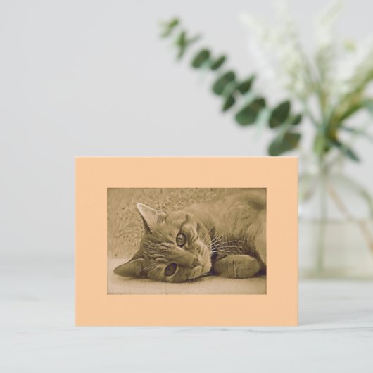 Orange Tabby Cat Postkarte (Stehend Vorderseite)