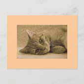 Orange Tabby Cat Postkarte (Vorderseite)
