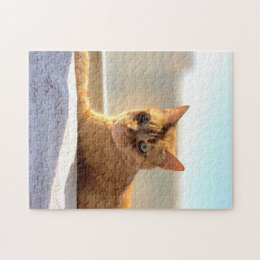 Orange Tabby Cat Puzzle (Horizontal)