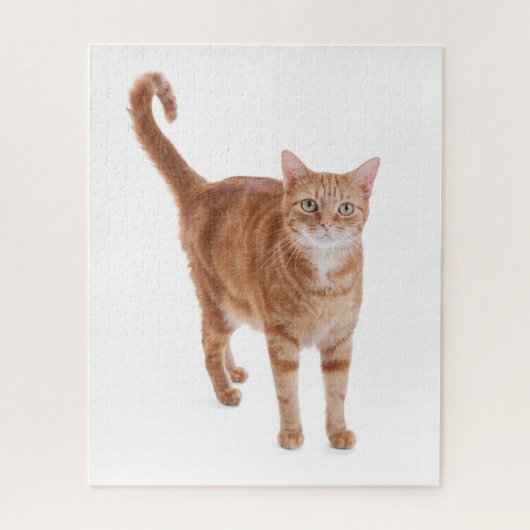 Orange Tabby Cat Puzzle (Vertikal)