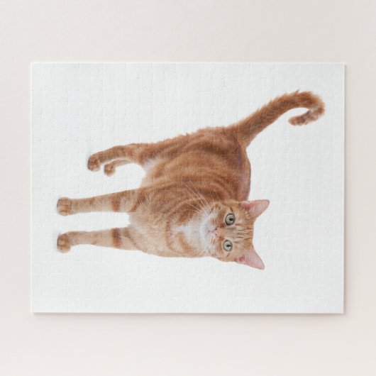 Orange Tabby Cat Puzzle (Horizontal)
