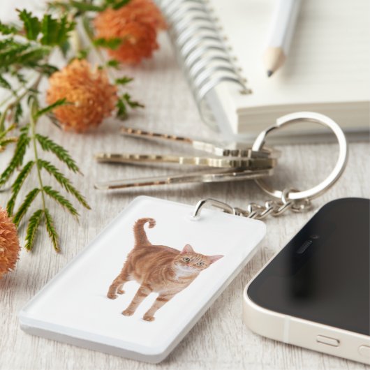 Orange Tabby Cat Schlüsselanhänger (Vorderseite rechts)