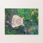 Orange Tabby Cat Sitzen im Foto Puzzle (Horizontal)