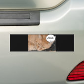 Orange Tabby Cat Spaß/Handy Autoaufkleber (Auf Auto)