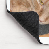 Orange Tabby Cat Spaß/Handy Mousepad (Ecke)