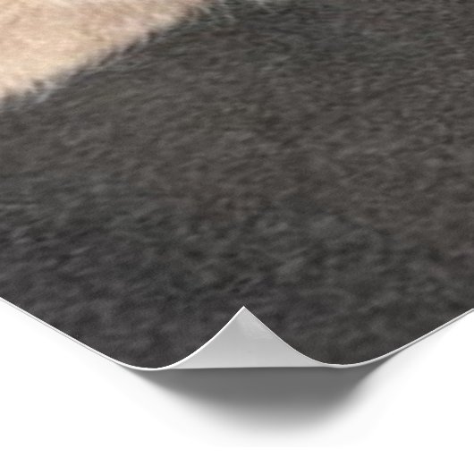 Orange Tabby Cat Spaß Poster (Ecke)