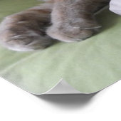 Orange Tabby Cat Spaß Poster (Ecke)