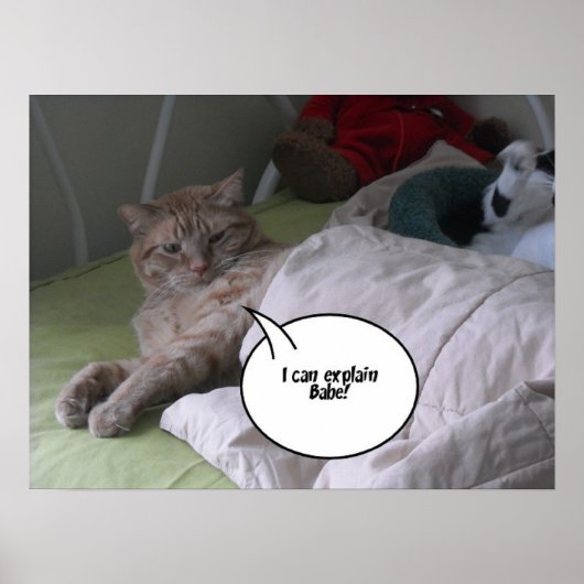 Orange Tabby Cat Spaß Poster (Vorne)