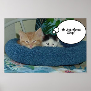 Orange Tabby Cat Spaß Poster
