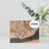 Orange Tabby Cat Spaß Postkarte (Stehend Vorderseite)