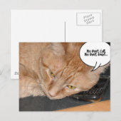 Orange Tabby Cat Spaß Postkarte (Vorne/Hinten)