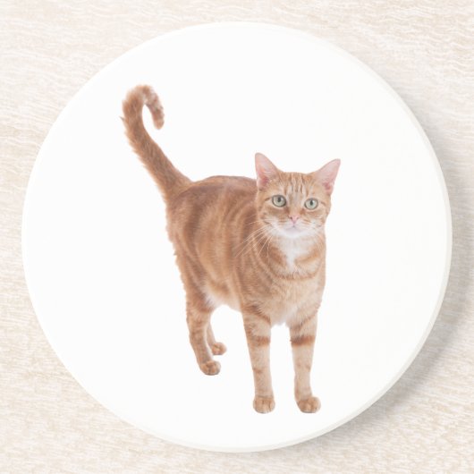 Orange Tabby Cat Standing Getränkeuntersetzer (Vorne)