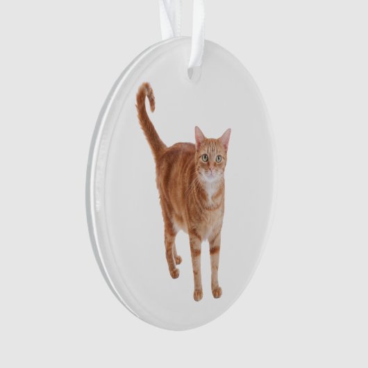 Orange Tabby Cat Standing Ornament (Vorderseite)