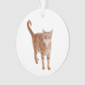 Orange Tabby Cat Standing Ornament (Vorderseite)