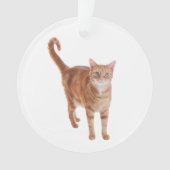 Orange Tabby Cat Standing Ornament (Vorderseite)