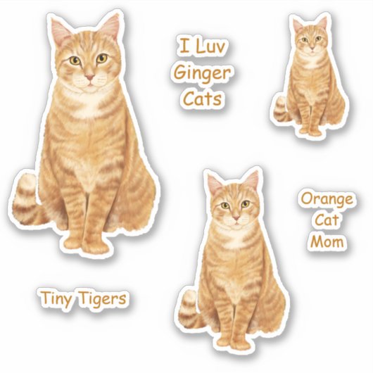 Orange Tabby Cat Sticker Set (Vorderseite)