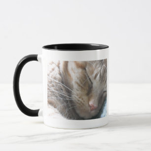 Orange Tabby Cat Tasse