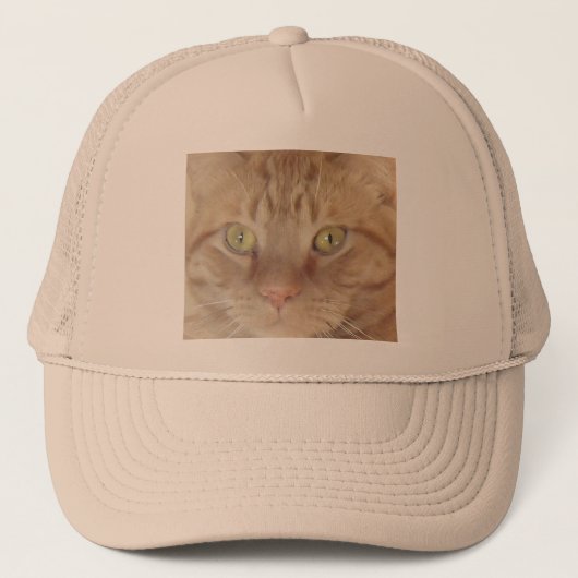 Orange Tabby Cat Truckerkappe (Vorderseite)