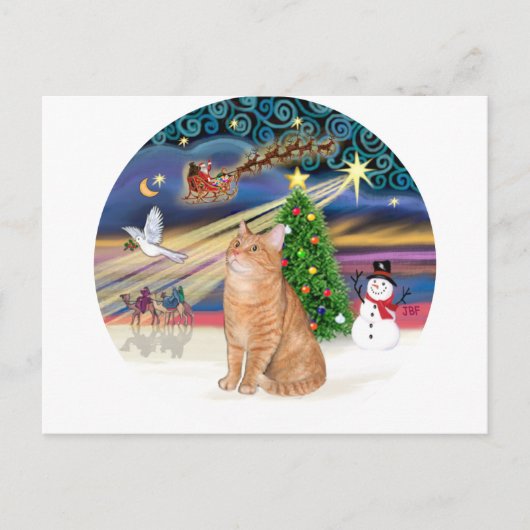 Orange Tabby Cat - Weihnachtsmagie Feiertagspostkarte (Vorderseite)