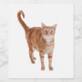 Orange Tabby Cat Weinetikett (Einzelnes Label)
