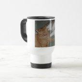 Orange Tabby Cats Reisebecher (Vorderseite Links)
