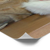 Orange Tabby Christmas Poster (Ecke)