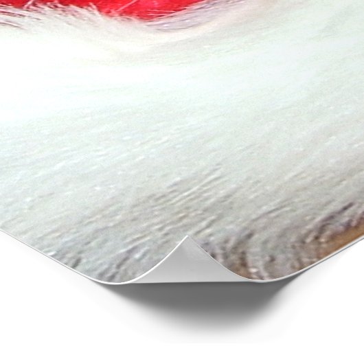 Orange Tabby Christmas Poster (Ecke)