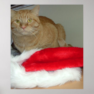 Orange Tabby Christmas Poster