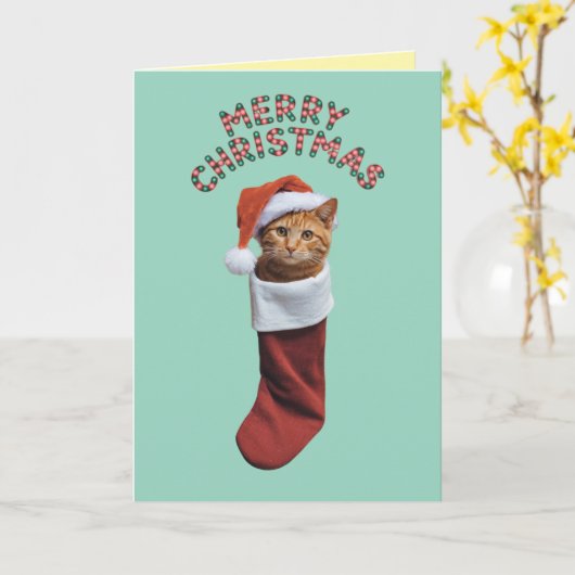Orange Tabby Christmas Strumpf Karte (Gelbe Blume)