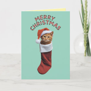 Orange Tabby Christmas Strumpf Karte