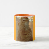 Orange Tabby Citten Tasse (Zentrum)