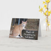 Orange Tabby Foutting Down Birthday Card Karte (Gelbe Blume)