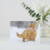 Orange Tabby im Schnee Postkarte (Stehend Vorderseite)
