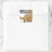 Orange Tabby im Schnee Quadratischer Aufkleber (Tasche)