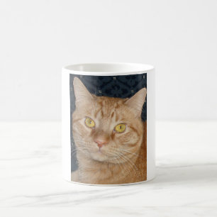 Orange Tabby Kaffeetasse