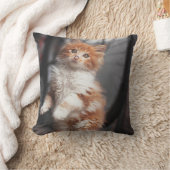 Orange Tabby-Kätzchen Kissen (Decke)