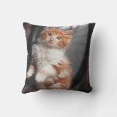 Orange Tabby-Kätzchen Kissen (Rückseite)