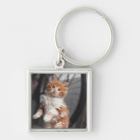 Orange Tabby-Kätzchen Schlüsselanhänger (Vorne)