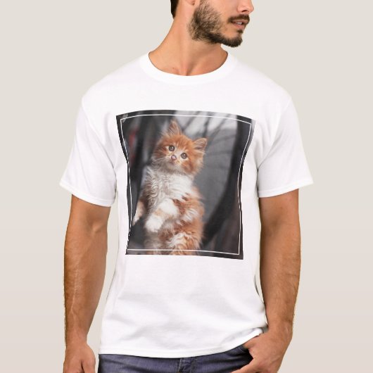 Orange Tabby-Kätzchen T-Shirt (Vorderseite)