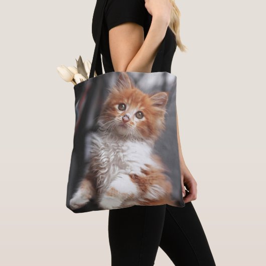 Orange Tabby-Kätzchen Tasche (Von Nahem)