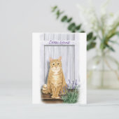 Orange Tabby Katze an der Tür mit Lavendel-Blume Postkarte (Stehend Vorderseite)