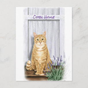 Orange Tabby Katze an der Tür mit Lavendel-Blume Postkarte