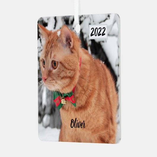 Orange Tabby Katze im Schnee Ornament Aus Metall (Vorderseite links)