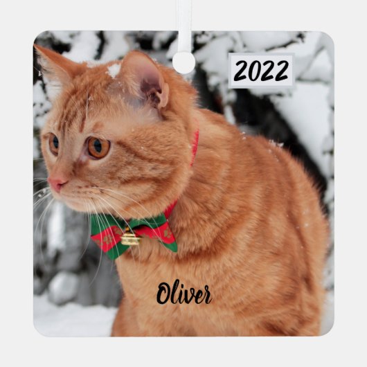 Orange Tabby Katze im Schnee Ornament Aus Metall (Rückseite)