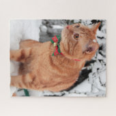Orange Tabby Katze im Schnee Puzzle (Horizontal)