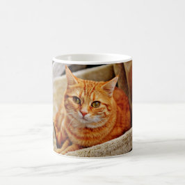 Orange Tabby-Katze Kaffeetasse