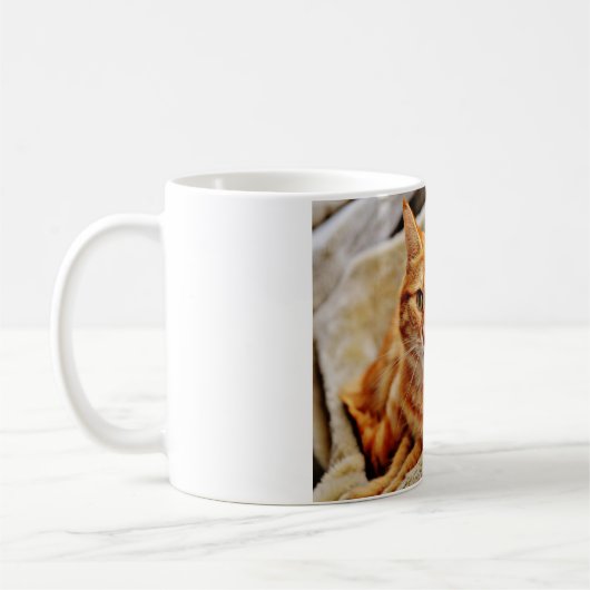 Orange Tabby-Katze Kaffeetasse (Links)