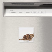 Orange Tabby Katze Magnet (In Situ (Geschirrspüler))