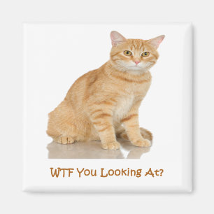 Orange Tabby-Katze Magnet